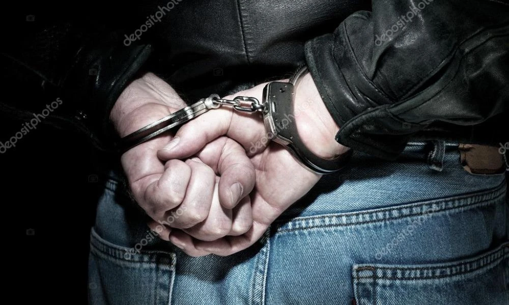 Φλώρινα: Συνέλαβαν ξανά άντρα για παράνομη υλοτομία